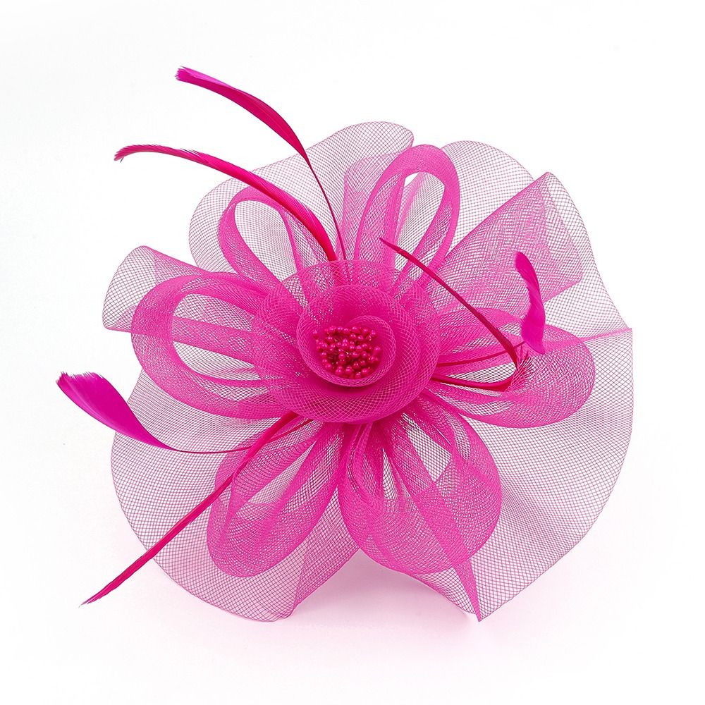 Feathers Ribbon Fascinator Hat - Vintage Fashion Hats 评论和价格